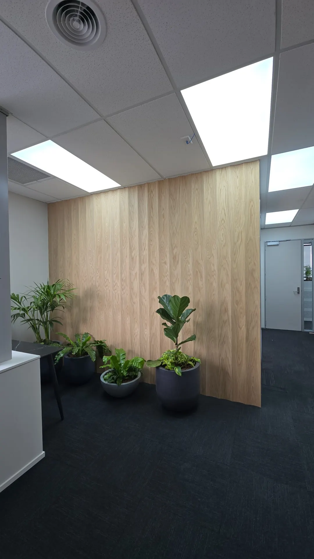 Commercial office fit-out with timber feature wall and joinery by Flow Joinery